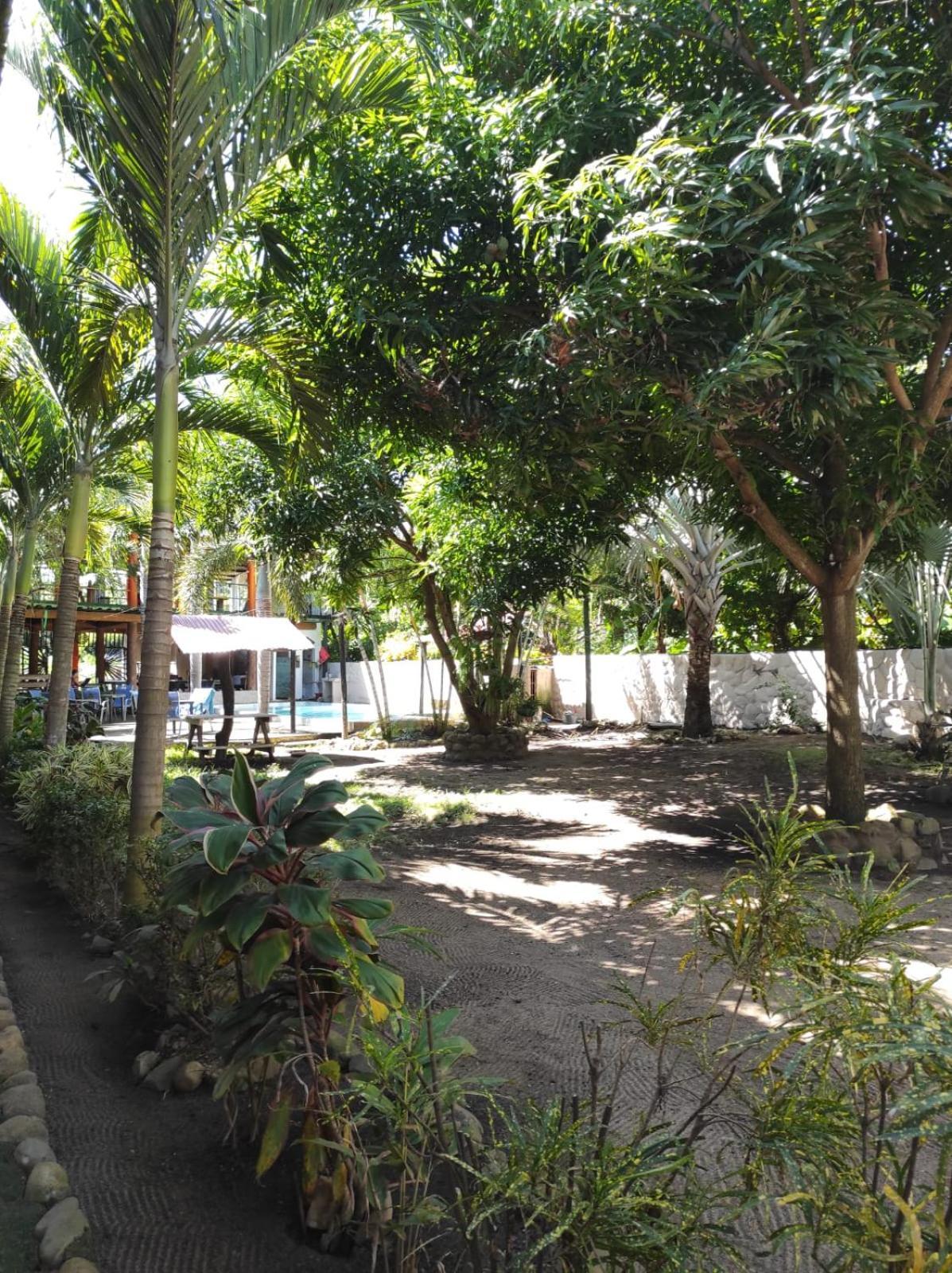 Hostal Luz De Luna Palomino Exterior photo